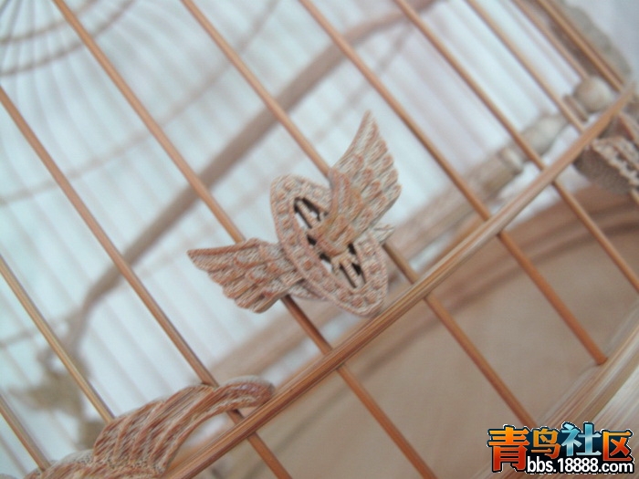 照片 099_调整大小.jpg