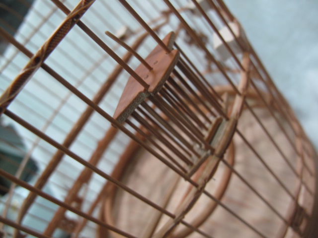 照片 140.jpg