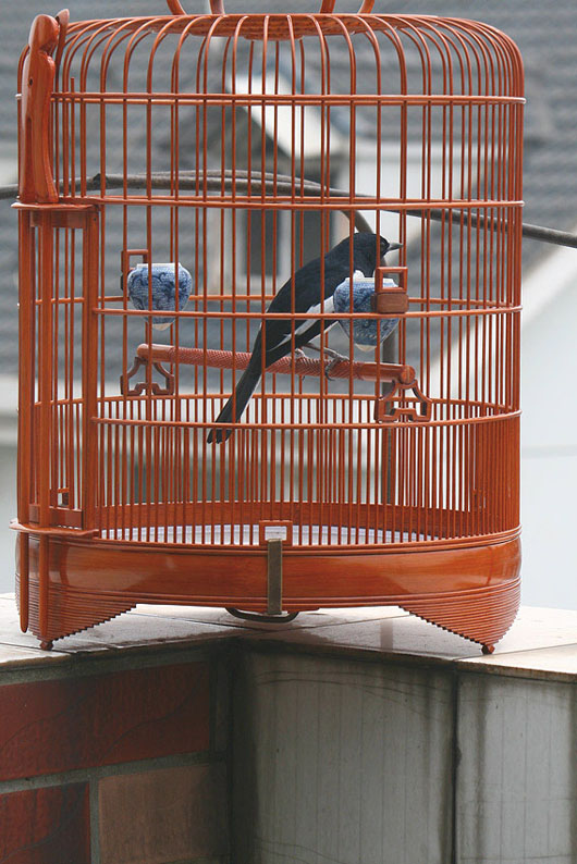 照片-172.jpg