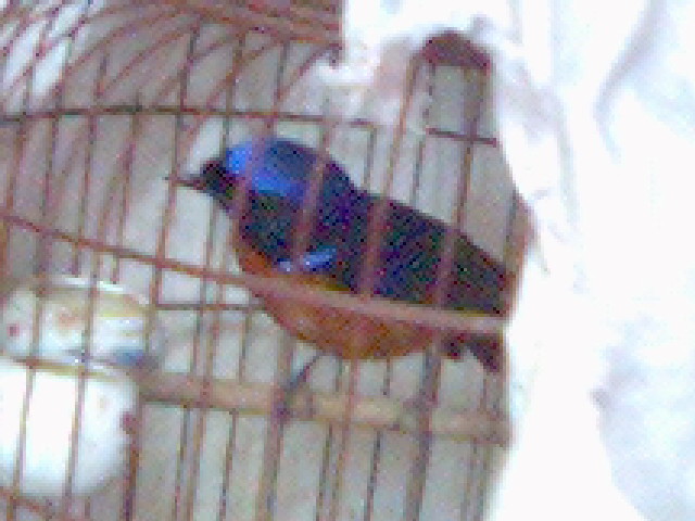 0331_174344.jpg