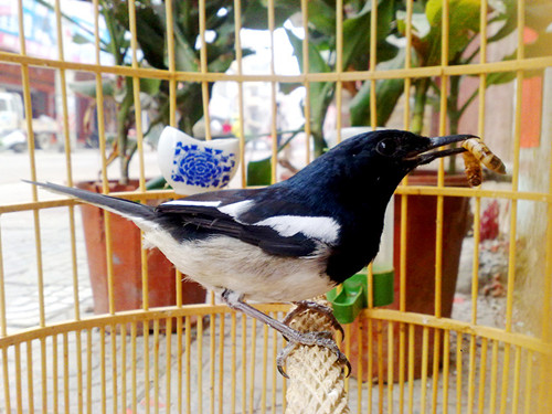 201303264828.jpg