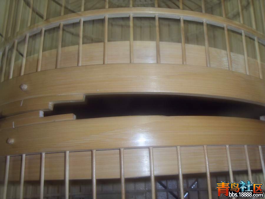 SDC10103.JPG