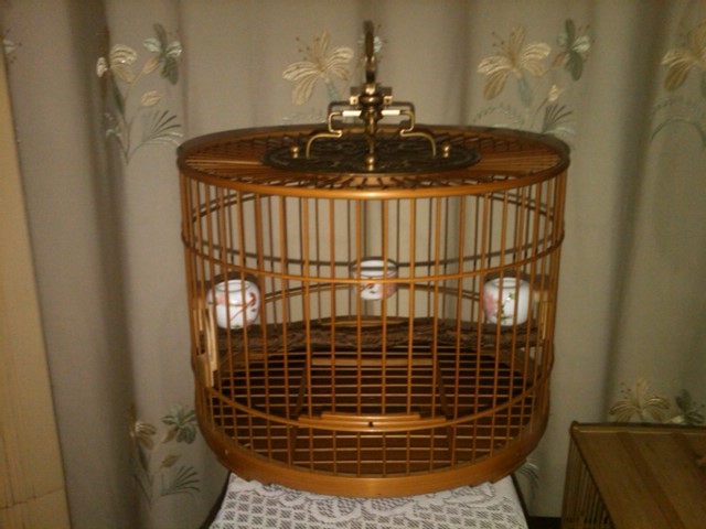 IMG00267-20130228-1949.jpg