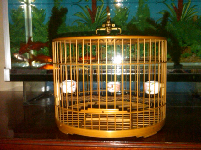 IMG00265-20130228-1949.jpg