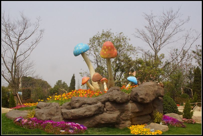 DSC05622.JPG