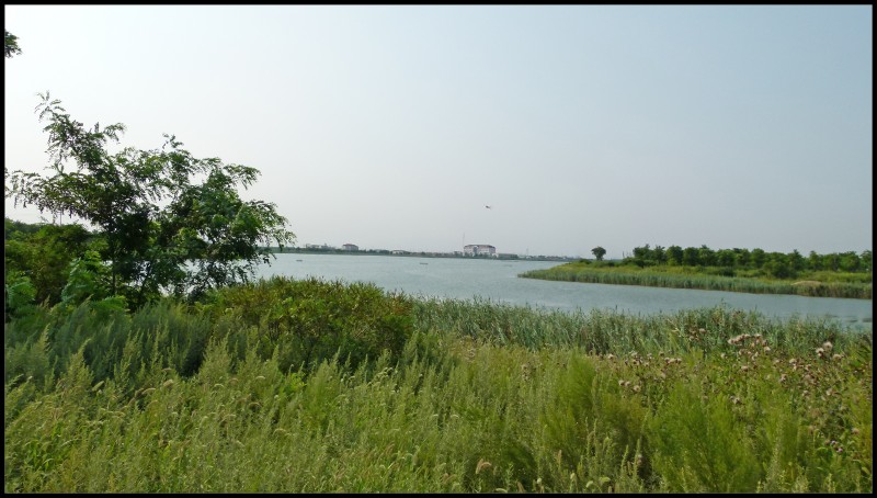 conew_p1020234.jpg
