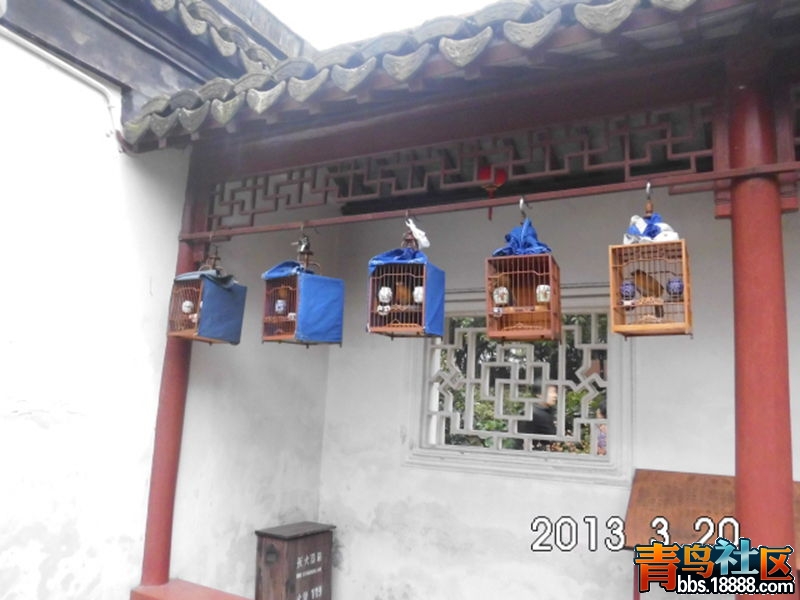 DSCI0284_副本.jpg