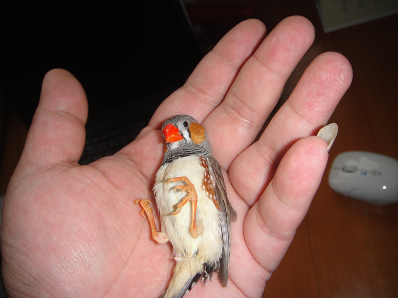 DSC05596_副本.jpg