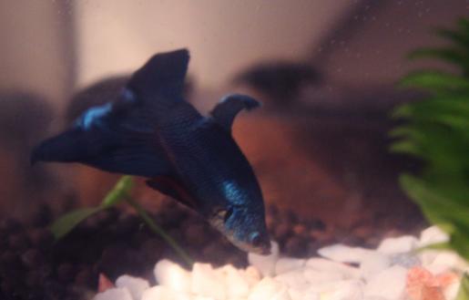 2013-03-30-2.jpg