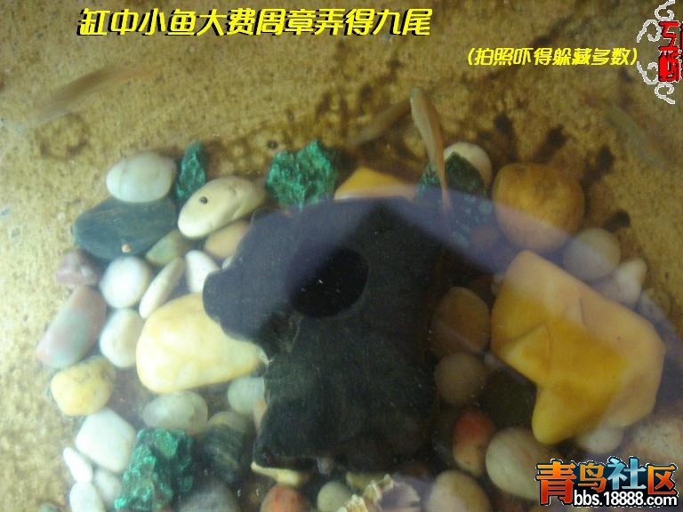 DSC07582.JPG