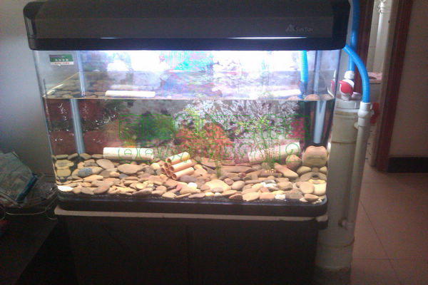 IMAG0345.jpg