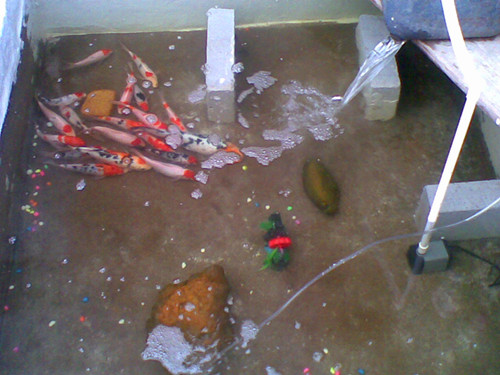 20130331(006)_副本.jpg