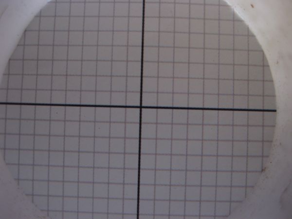 IMG_1817.jpg