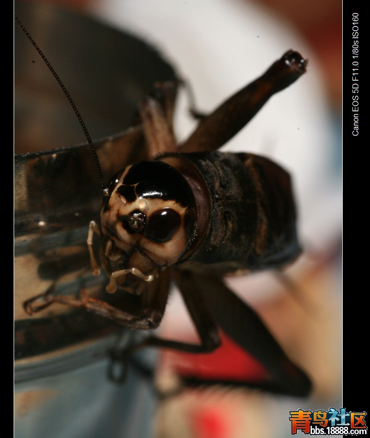 nEO_IMG_IMG_9058-1.jpg