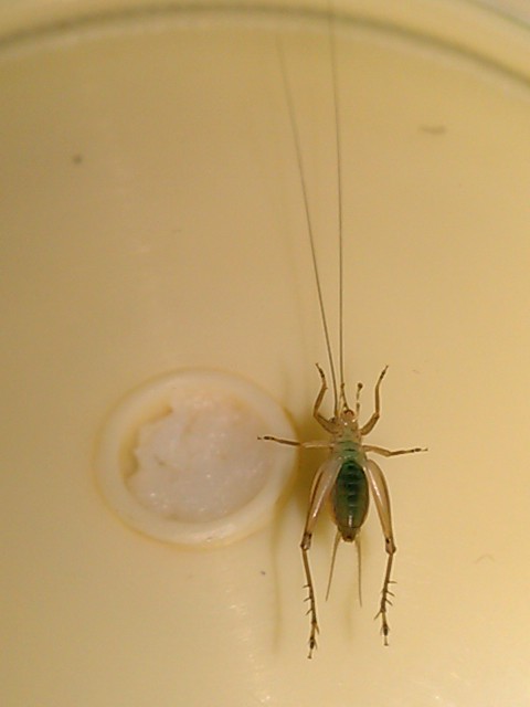 IMAG0985.jpg