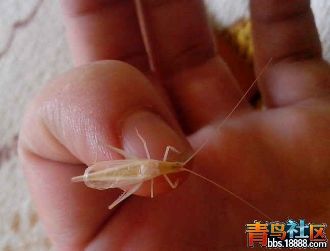 未命名2.jpg