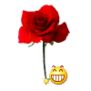 花.gif
