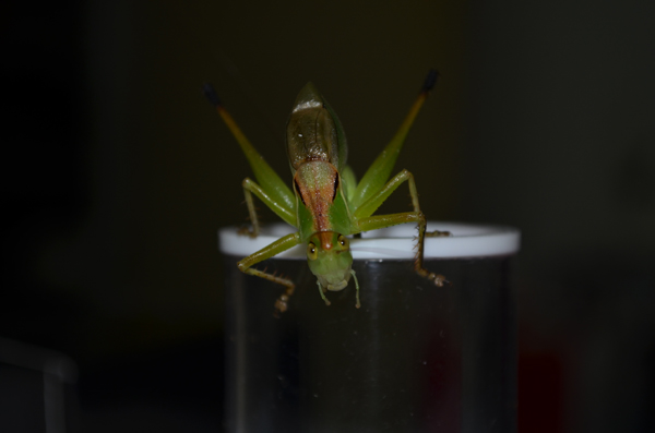 DSC_03.jpg