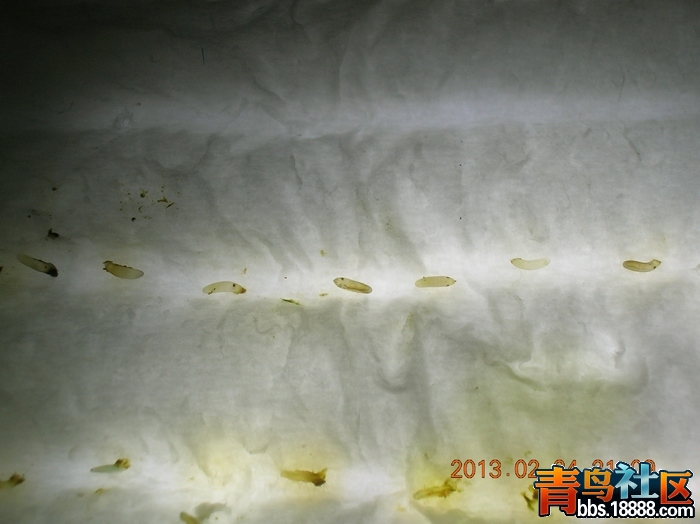 DSCN1894.jpg