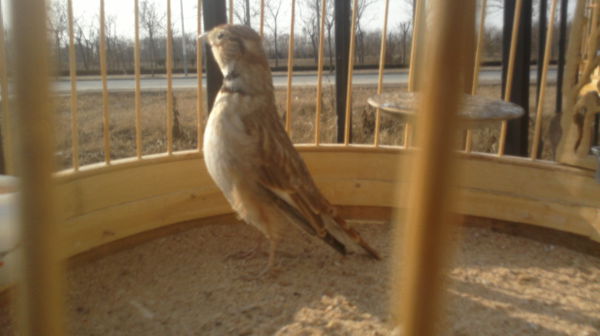 20130219866_副本.jpg