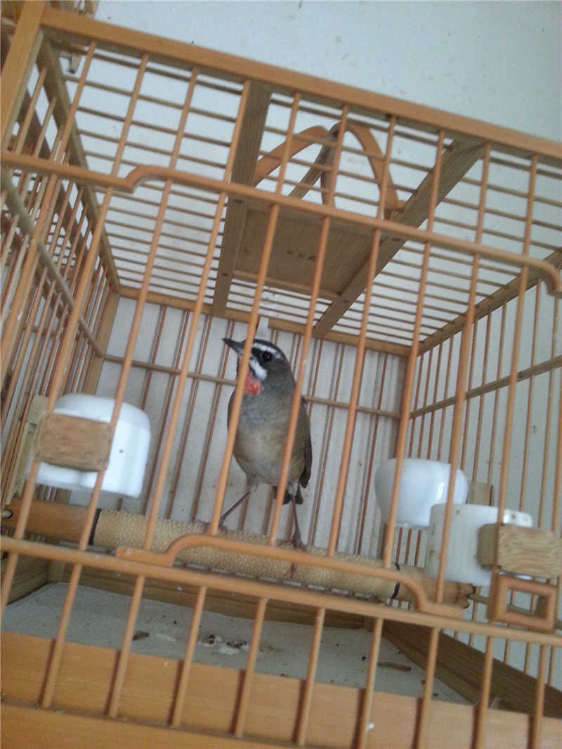 20130308_130431.jpg