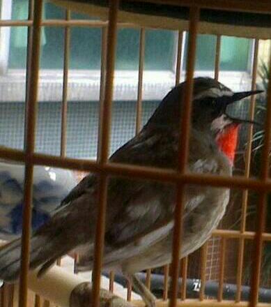 IMG-20130314-WA0000-1.jpg
