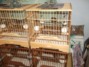DSCF1168.jpg