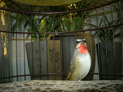 照片 030.jpg
