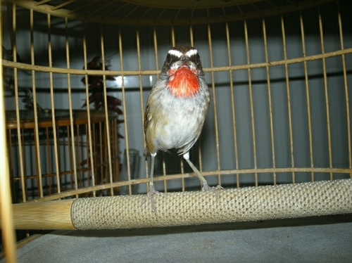 照片 020.jpg