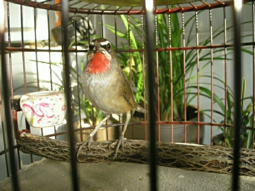 照片 024.jpg
