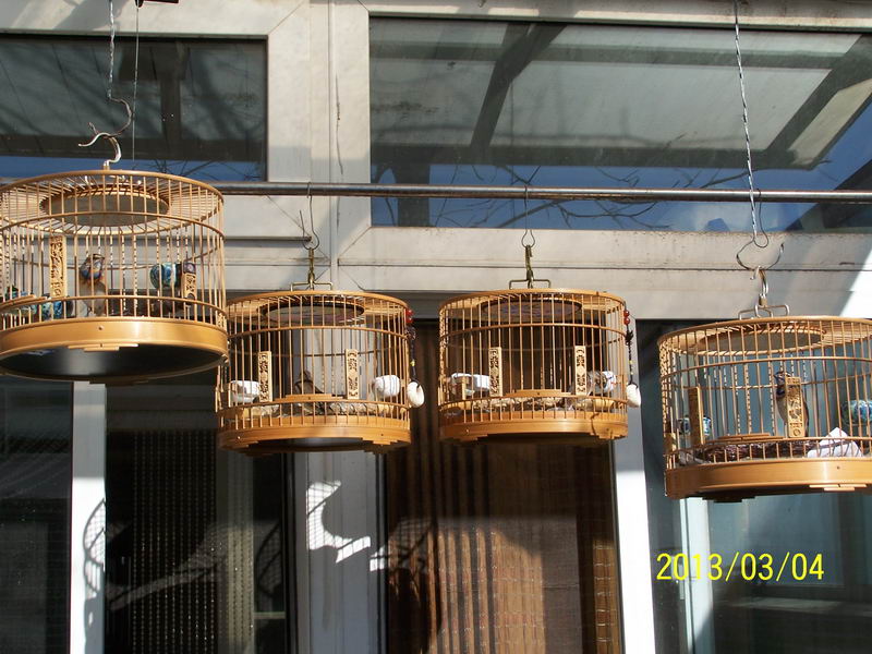 100_3100_调整大小.JPG