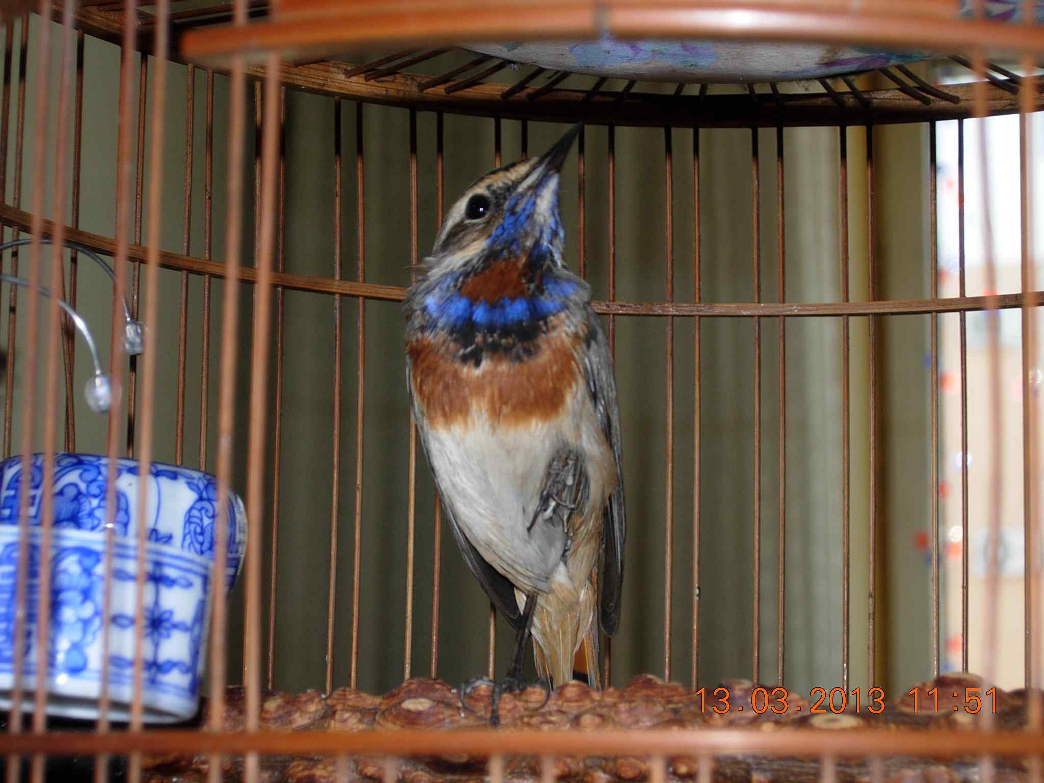 DSCN0921.jpg