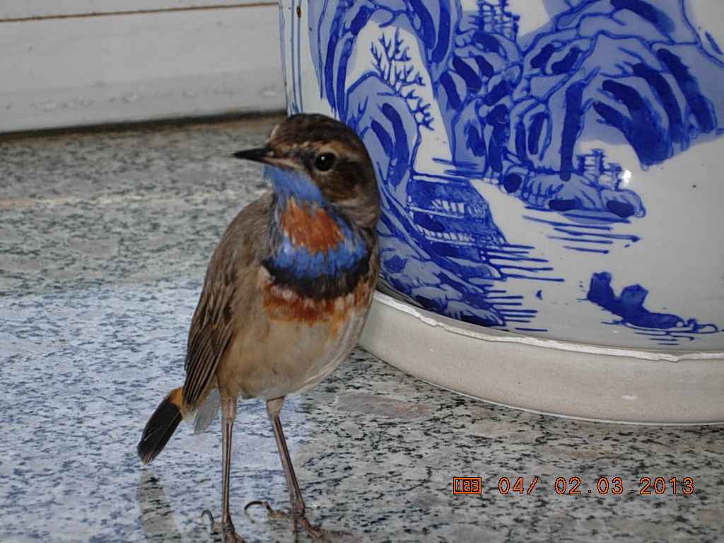 DSCN0196.jpg