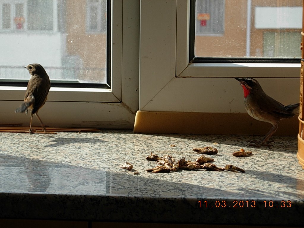 DSCN0878.jpg