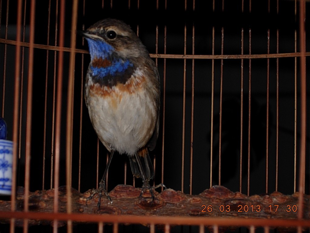 DSCN1171.jpg