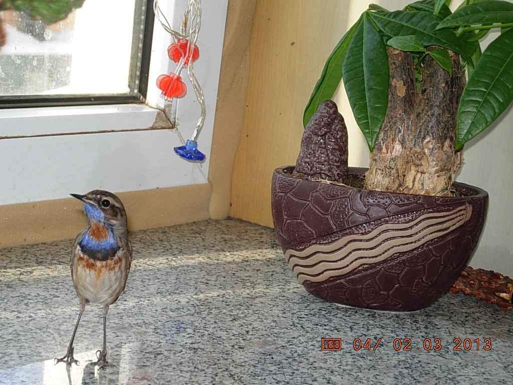 DSCN0198.jpg
