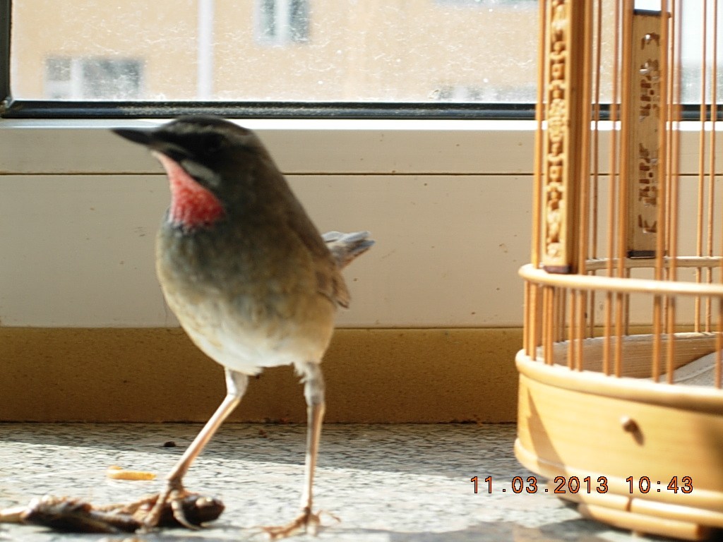 DSCN0899.jpg