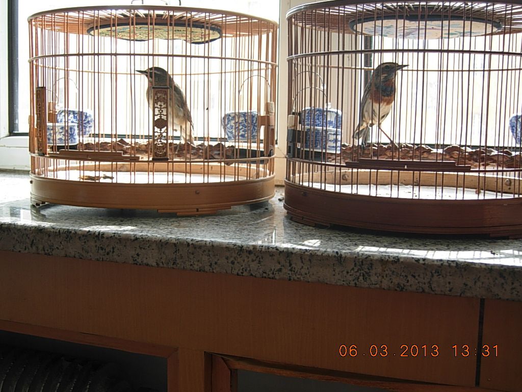 DSCN0810.jpg