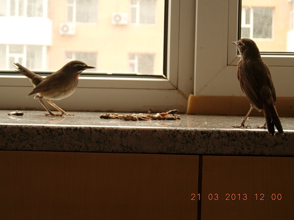 DSCN1124.jpg