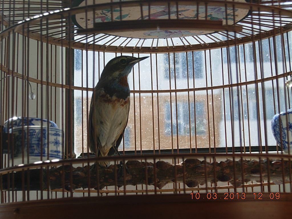 DSCN0846.jpg