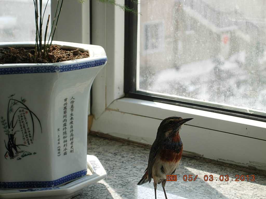 DSCN0744.jpg