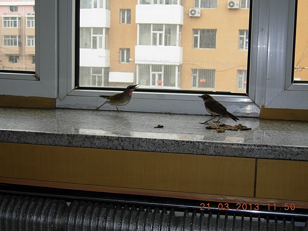DSCN1090.jpg