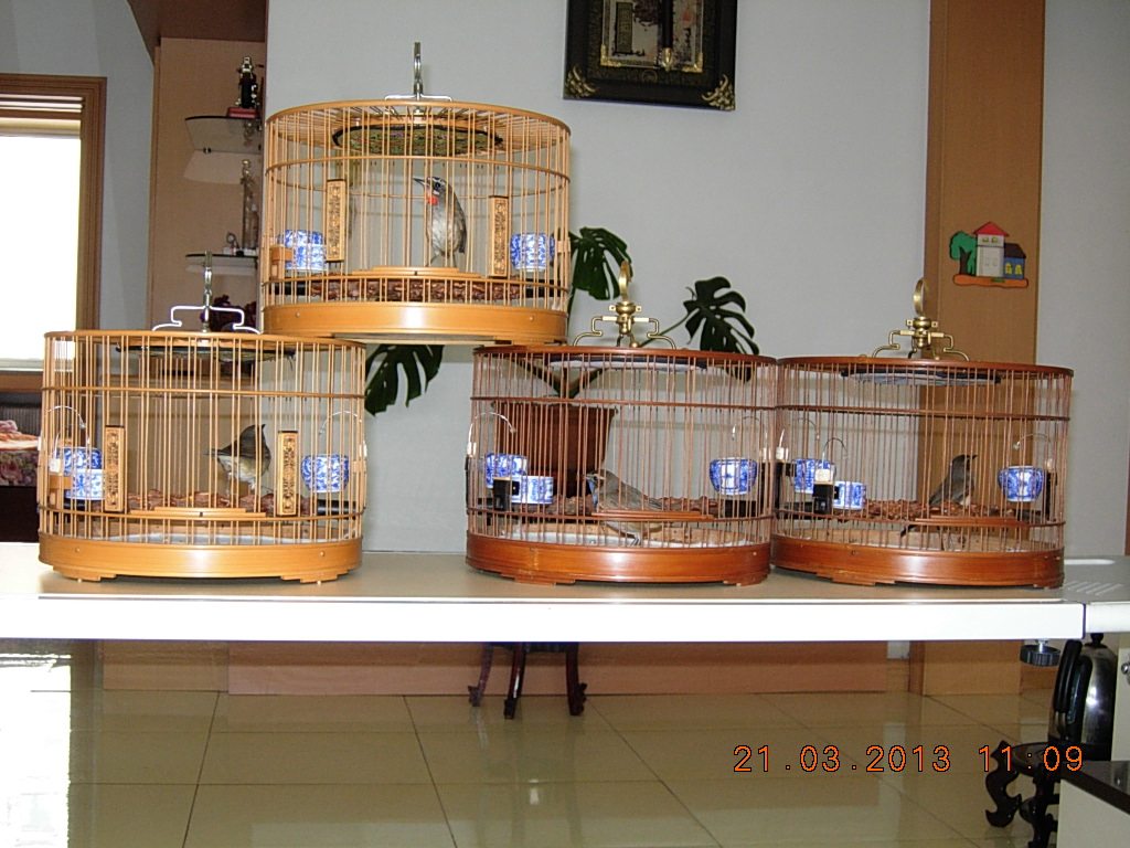 DSCN1049.jpg