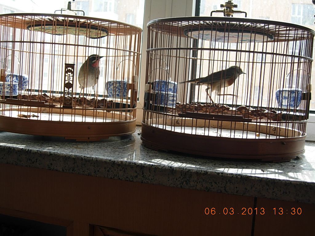 DSCN0806.jpg