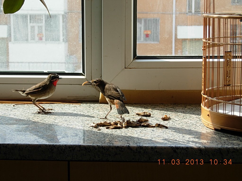 DSCN0879.jpg