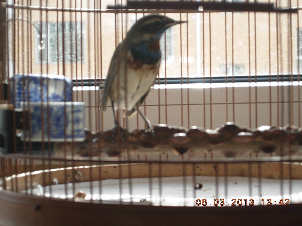 DSCN0811.jpg