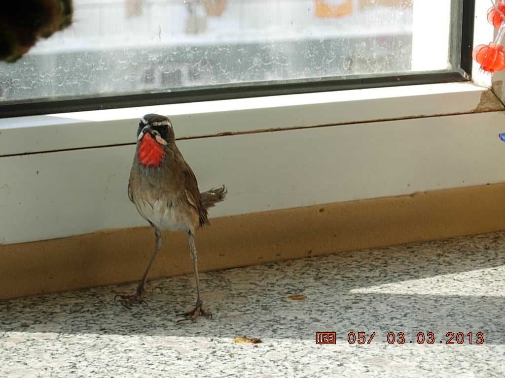 DSCN0754.jpg