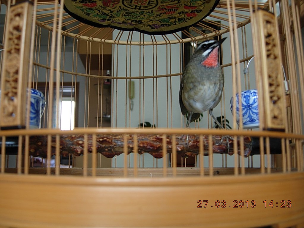 DSCN1225.jpg