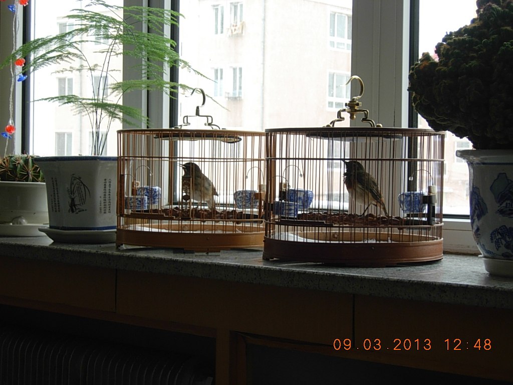 DSCN0840.jpg