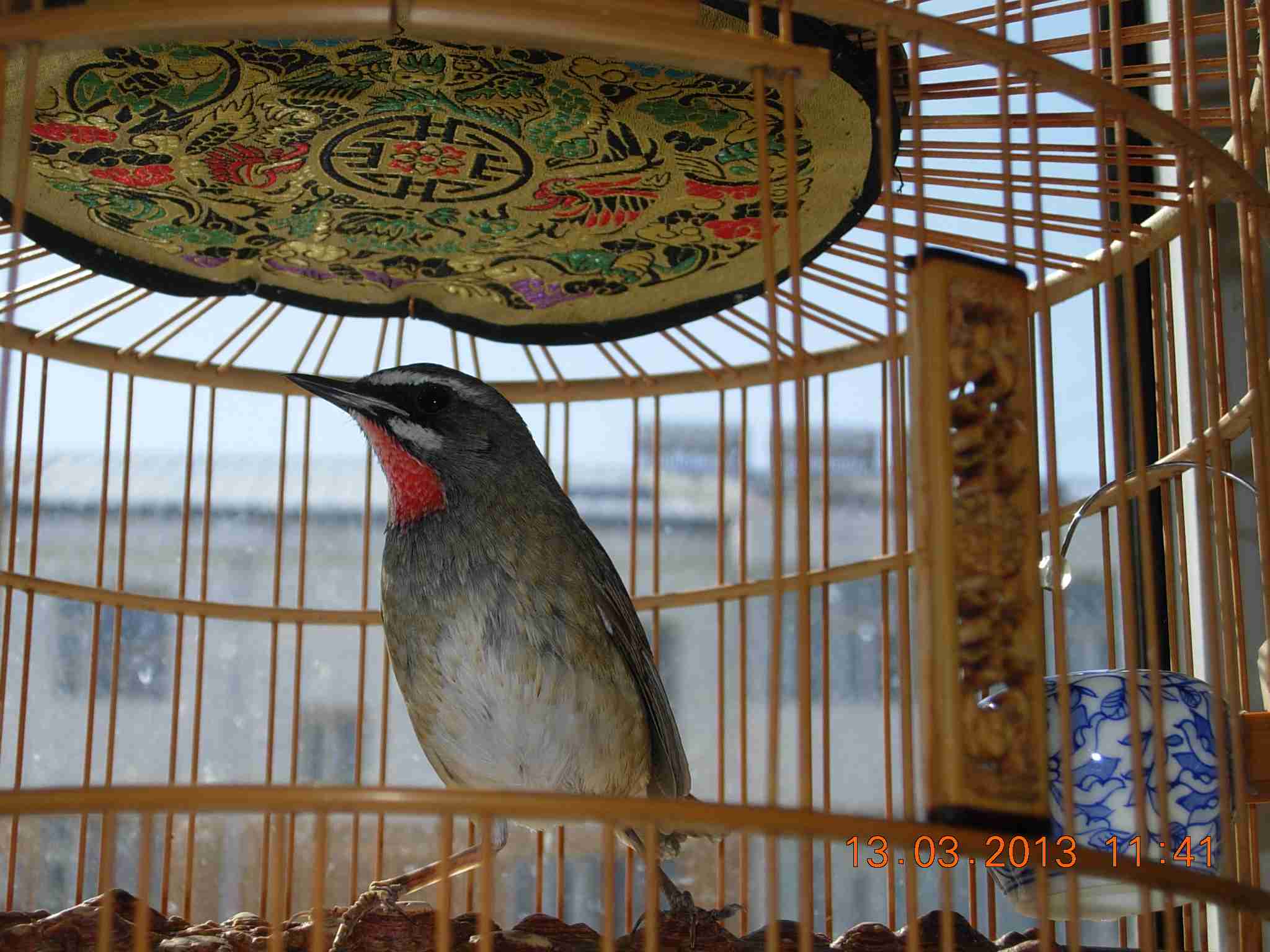 DSCN0908.jpg